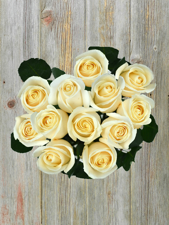 Wholesale White Roses Delivered Online FlowerFarm